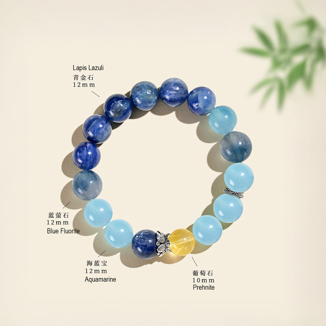 Natural Crystal Wisdom &amp; Protection Collection | C171
