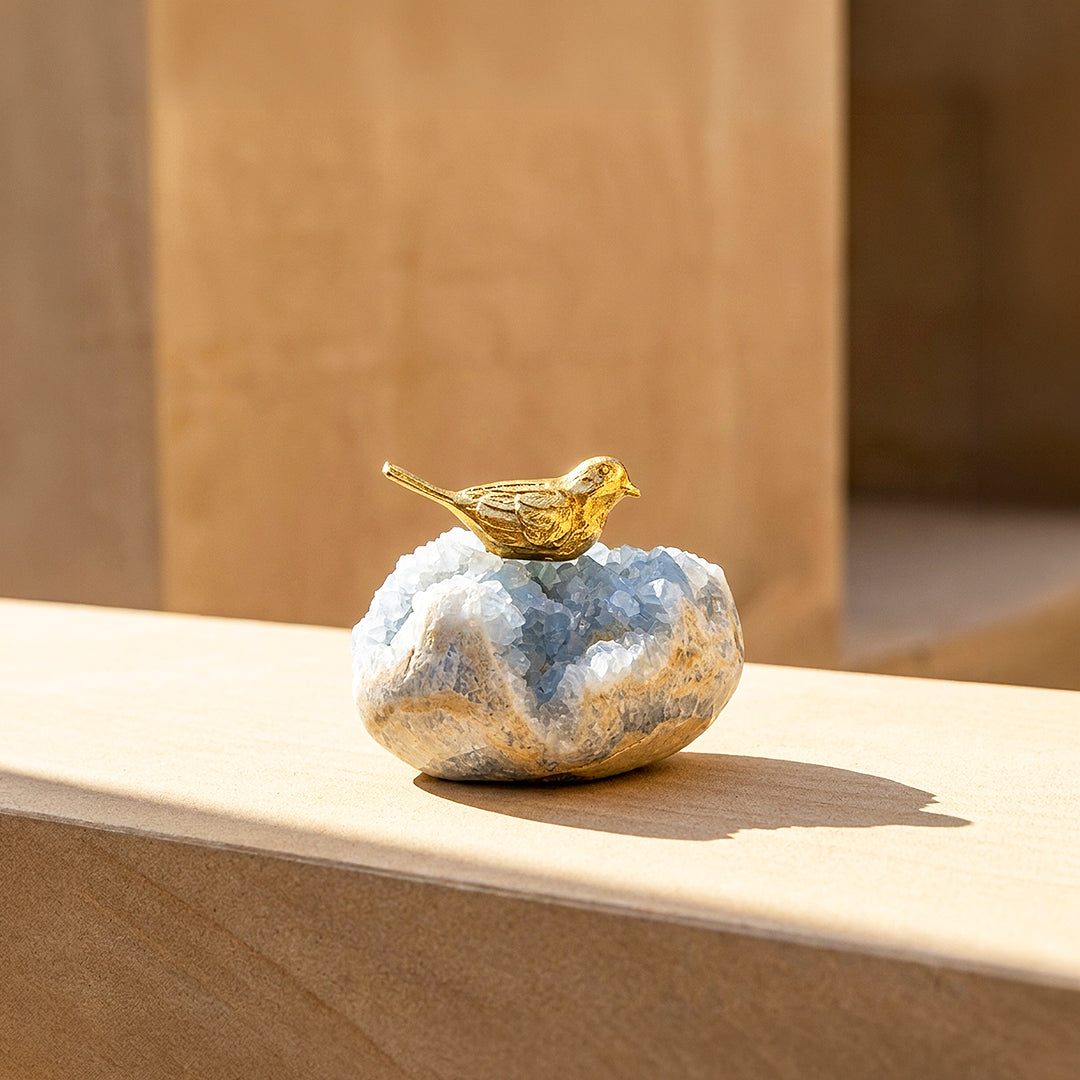 Celestite Crystal Bird Display | CE8017