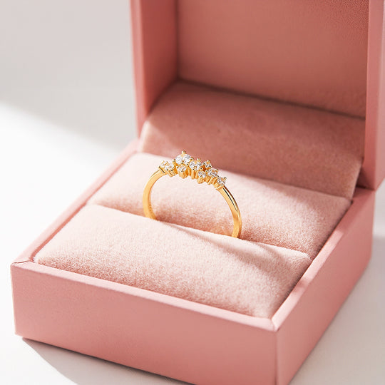 Cluster Ring | Petite Brilliance | Diamond Simulant | Titanium Steel | Luxe5170