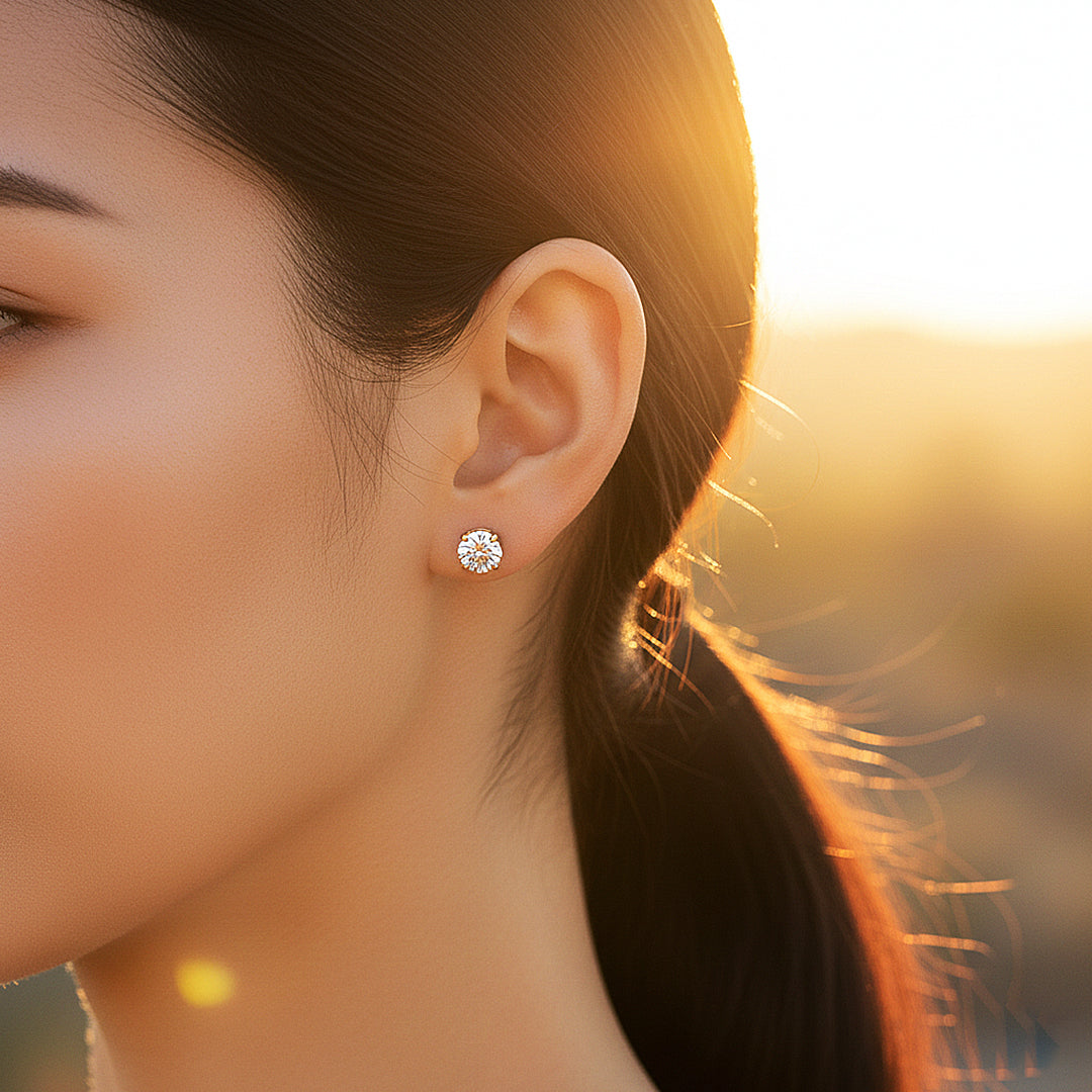 Prm8157 – Imperial Solace