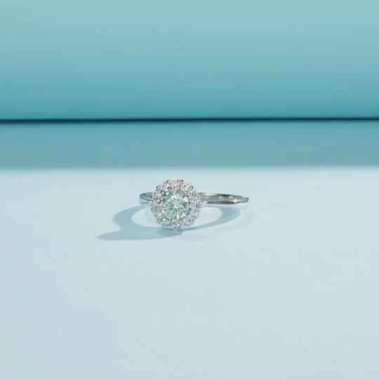 Aurora Bloom - Prm7116